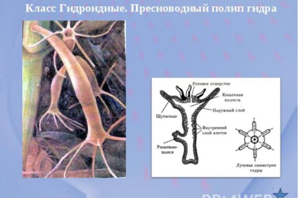 Как открыть кракен