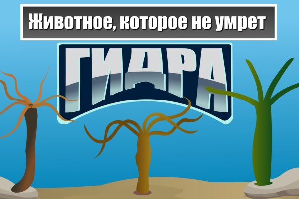 Актуальные ссылки на кракен тор